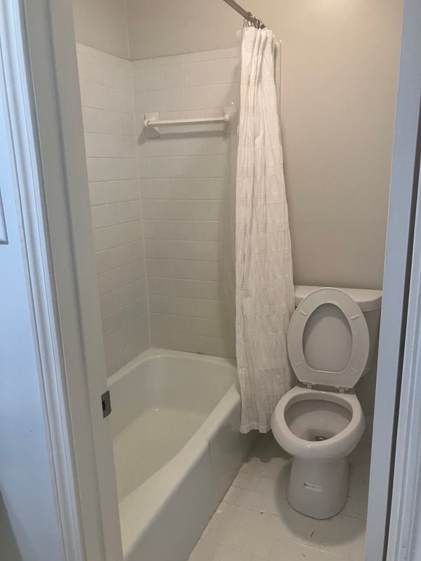 Bathroom Cleaning