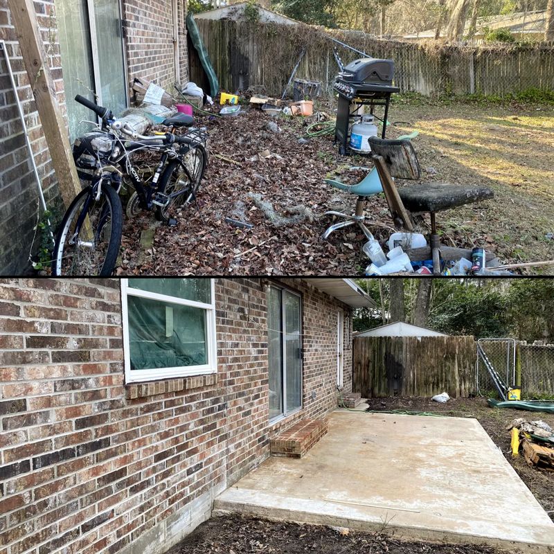 Landscape & Property Cleanup
