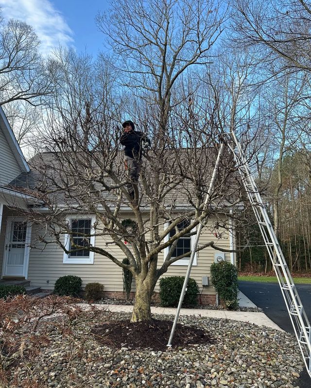 Landscaping