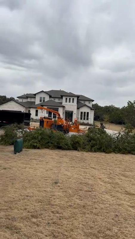 Tree Trimming & Stump Grinding
