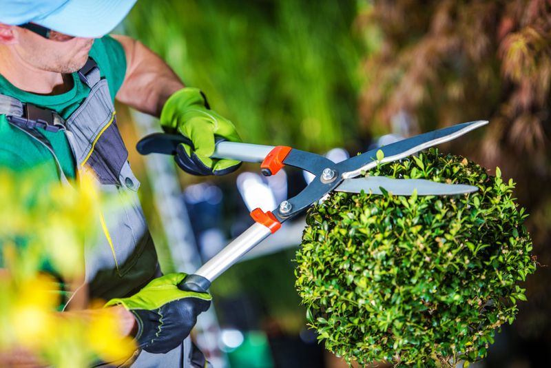 Landscaping