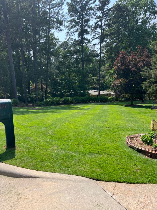 Lawn Care & Maintenance