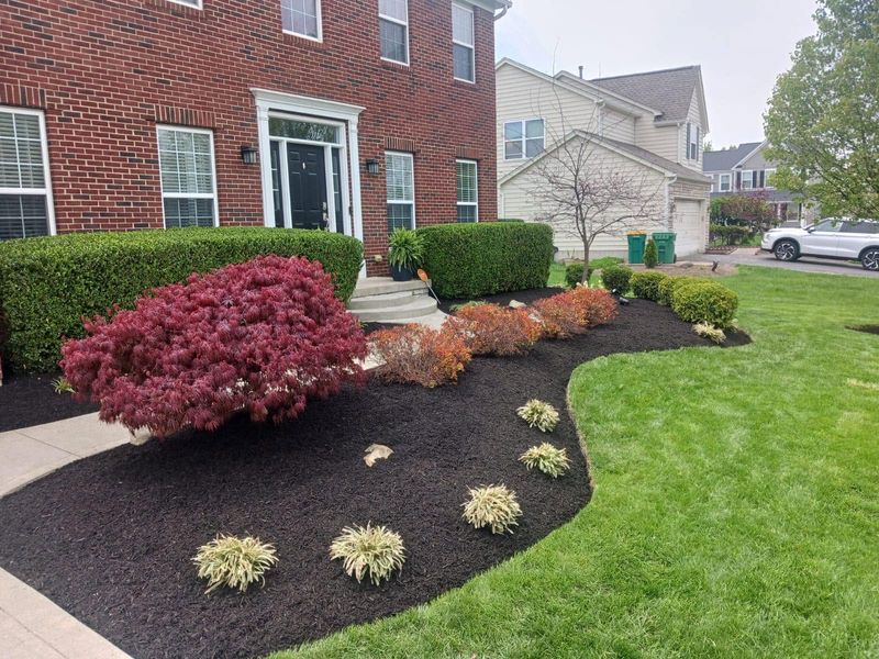Shrub Trimming