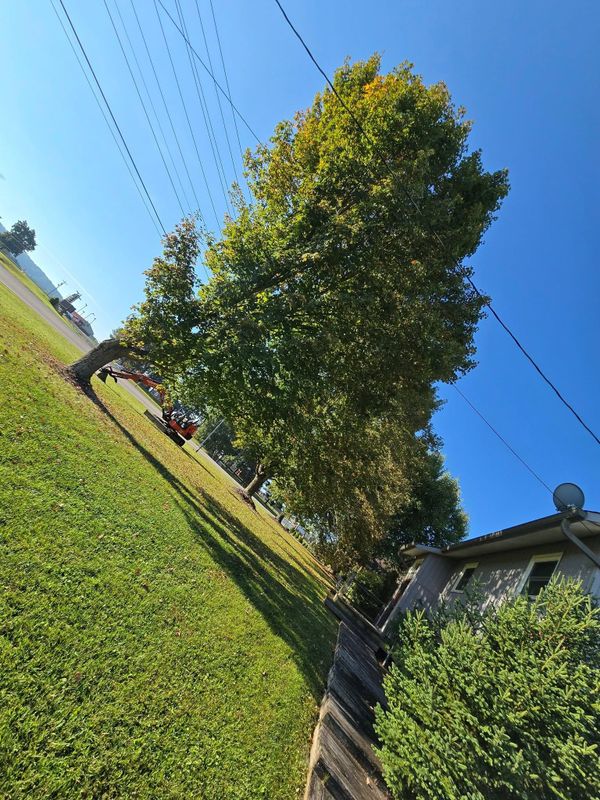 24/7 storm cleanup