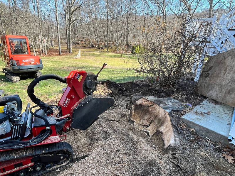 Stump Removal