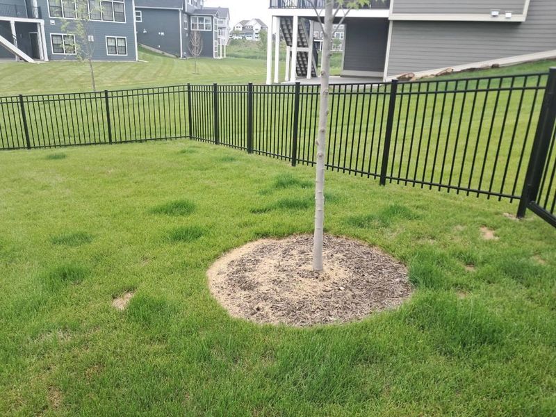 Fence Installation