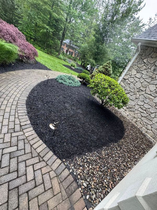 Plant & Shrub Installations