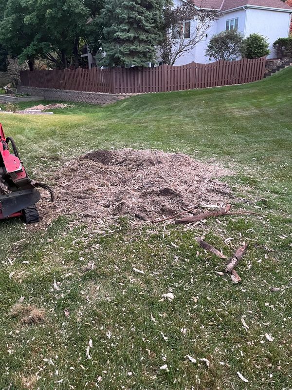 Fall and Spring Clean Up