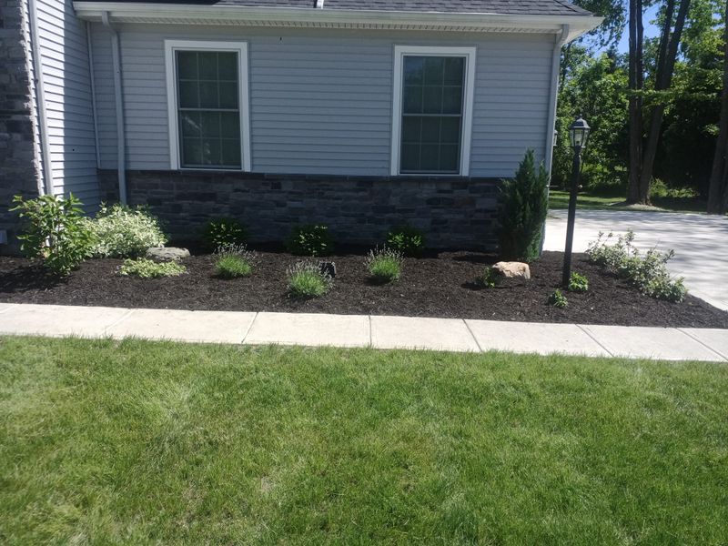 Landscaping