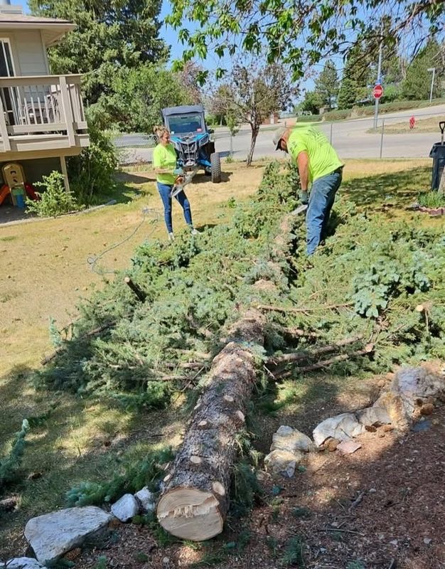 Tree Removal