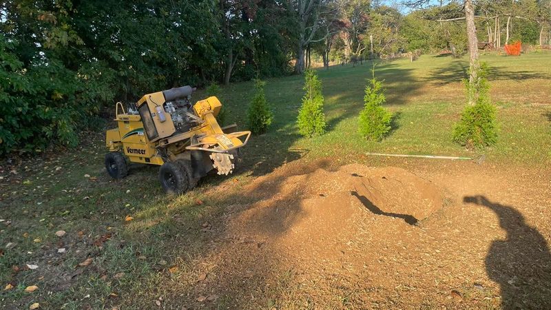 Mulch Delivery