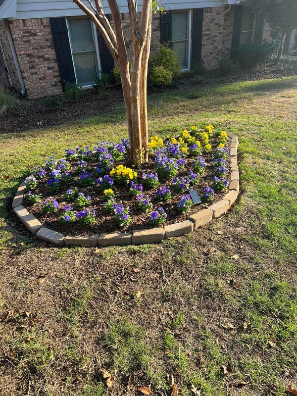 Landscaping