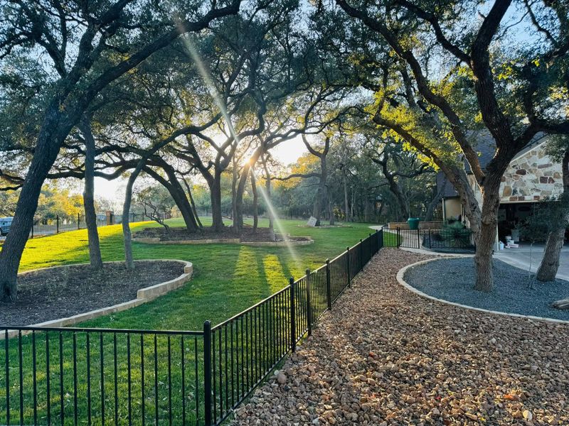 Landscape Design