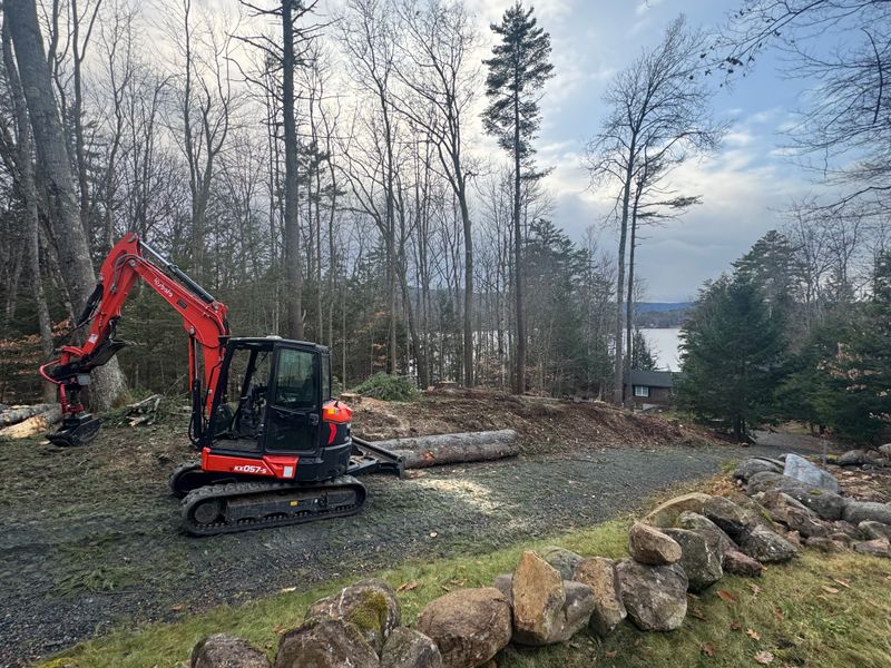 Stump Removal