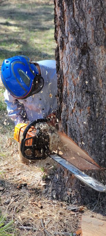 Tree Services