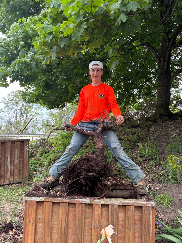 Landscaping
