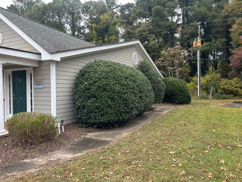 Shrub and Plant Trimming