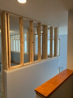 Basement Renovation