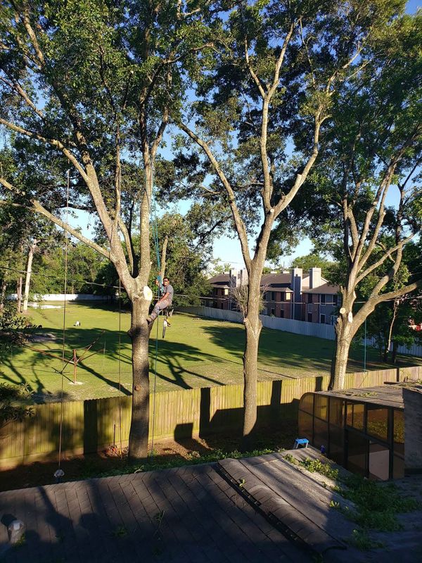 Landscaping