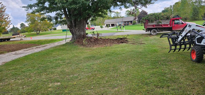 Fall Clean Up