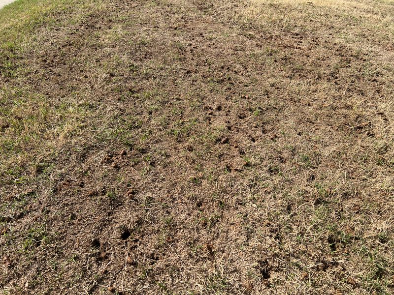 Aeration