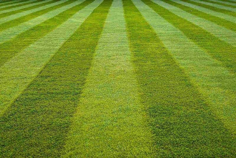 Weed Control