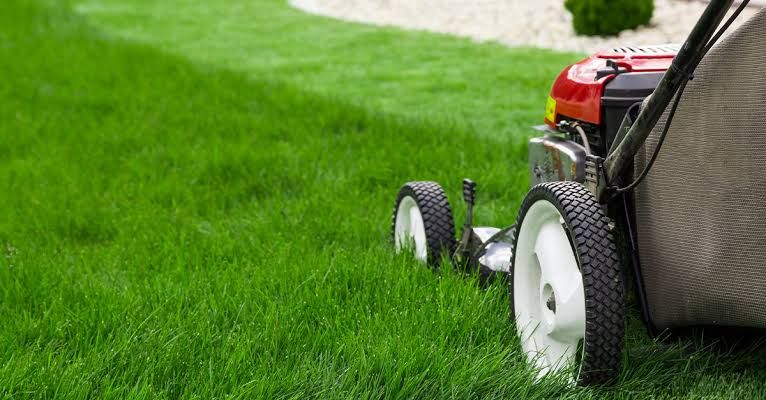 Lawn Maintenance