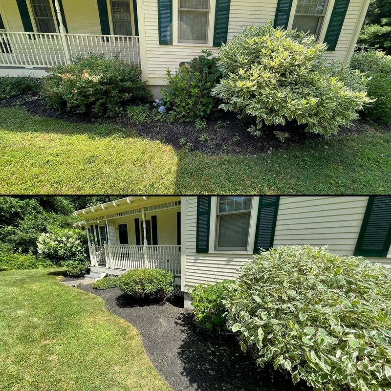 Lawn Mowing / Lawn Care Maintenance