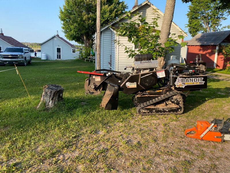Stump Grinding
