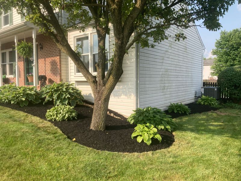 Landscape Design