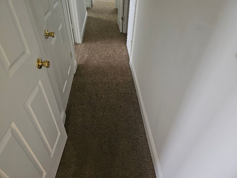 Carpet Cleaning