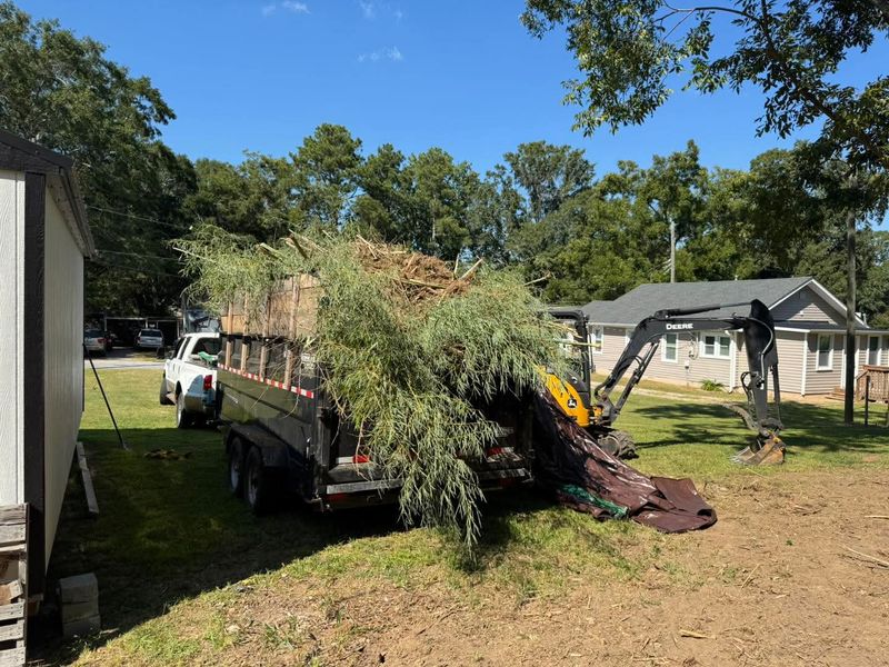 Debris Removal