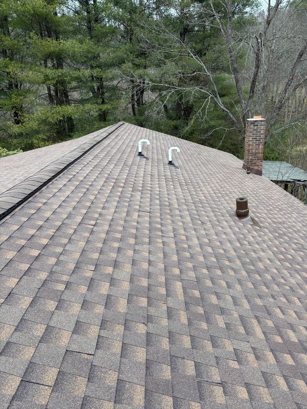 Shingle Roofs