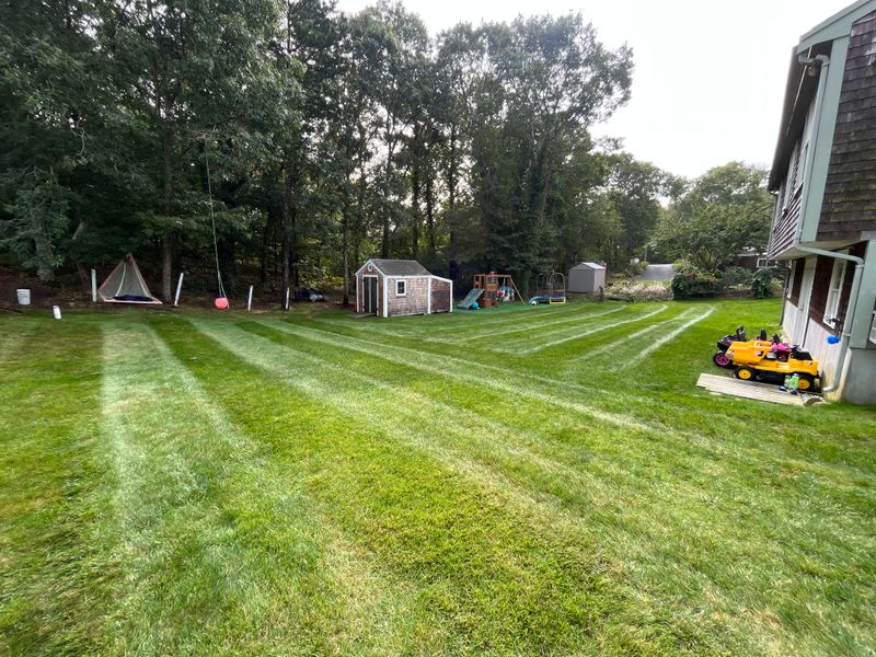 Mowing gallery
