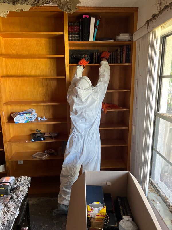 Mold Remediation