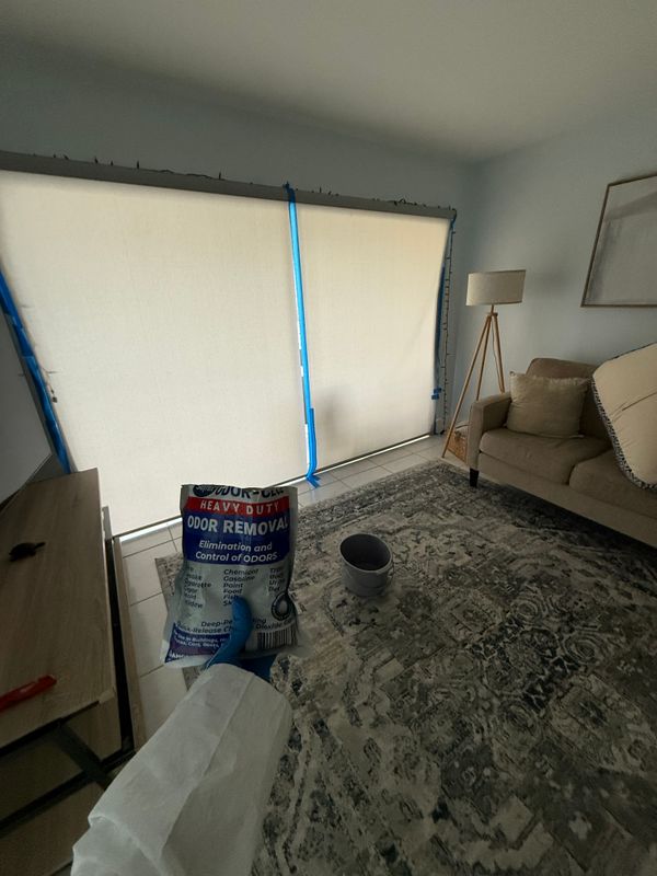 Odor Removal
