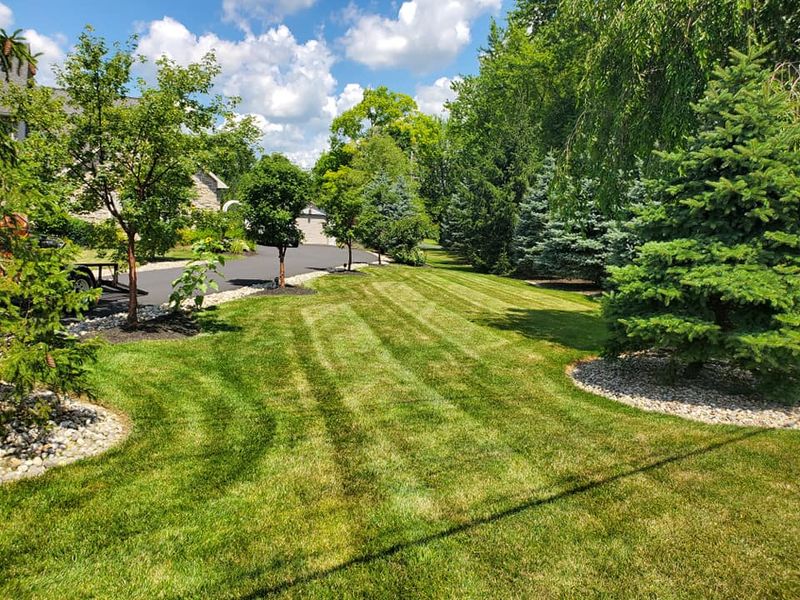 Lawn Care