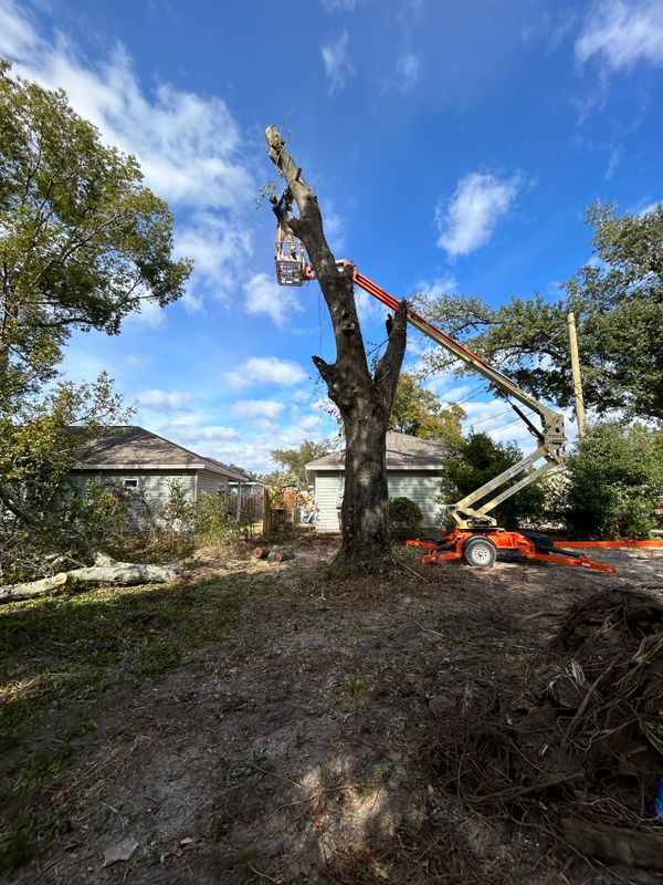 Land Clearing/ Forestry Mulching