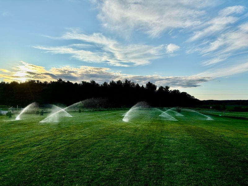 Irrigation System Design & Install