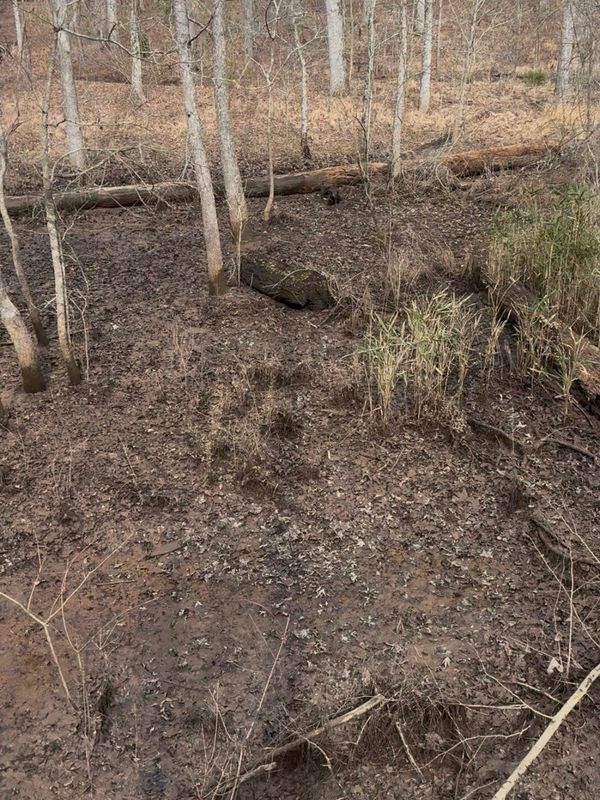 Stormwater Drainage Management