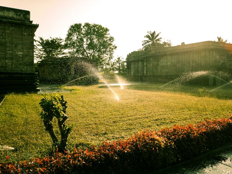 Weed Control