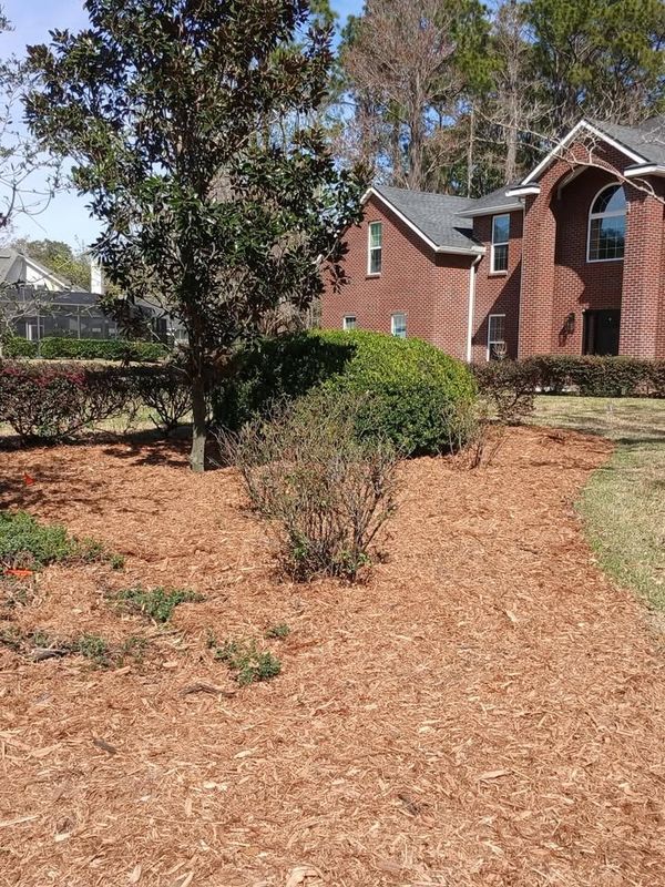 Shrub Trimming