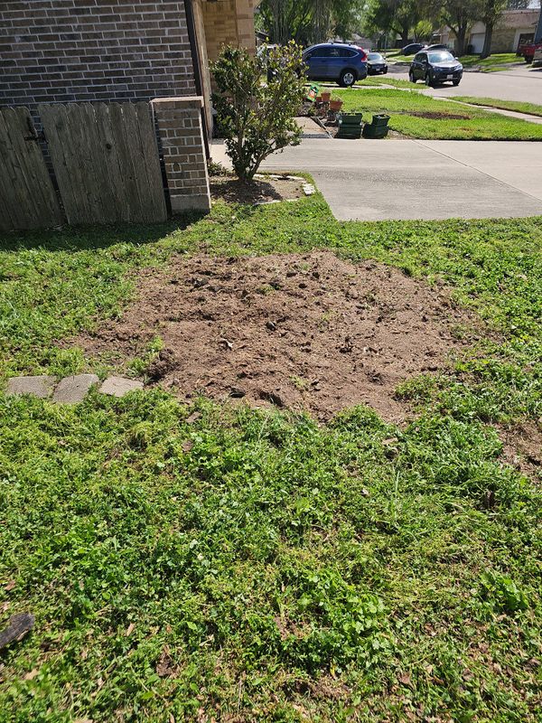 Tree Removal gallery