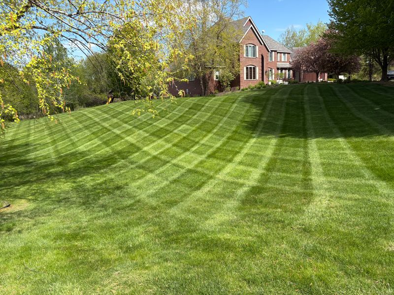 Landscape Maintenance