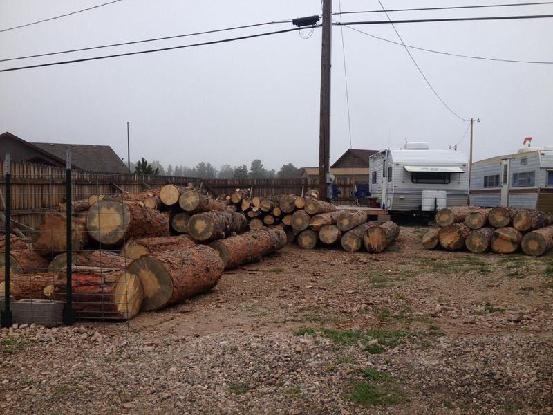 Tree Pruning & Removal
