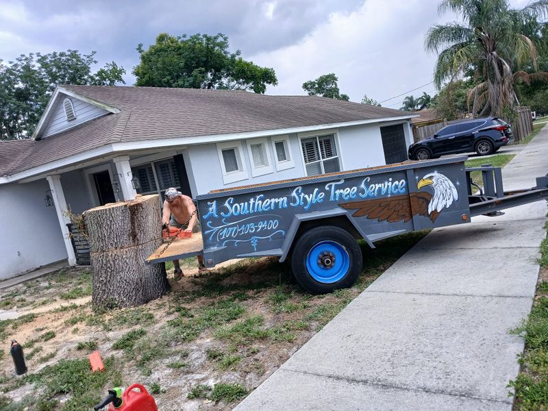 Tree Services