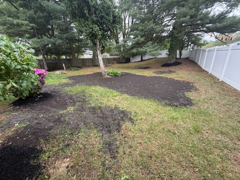 Lawn Maintenance