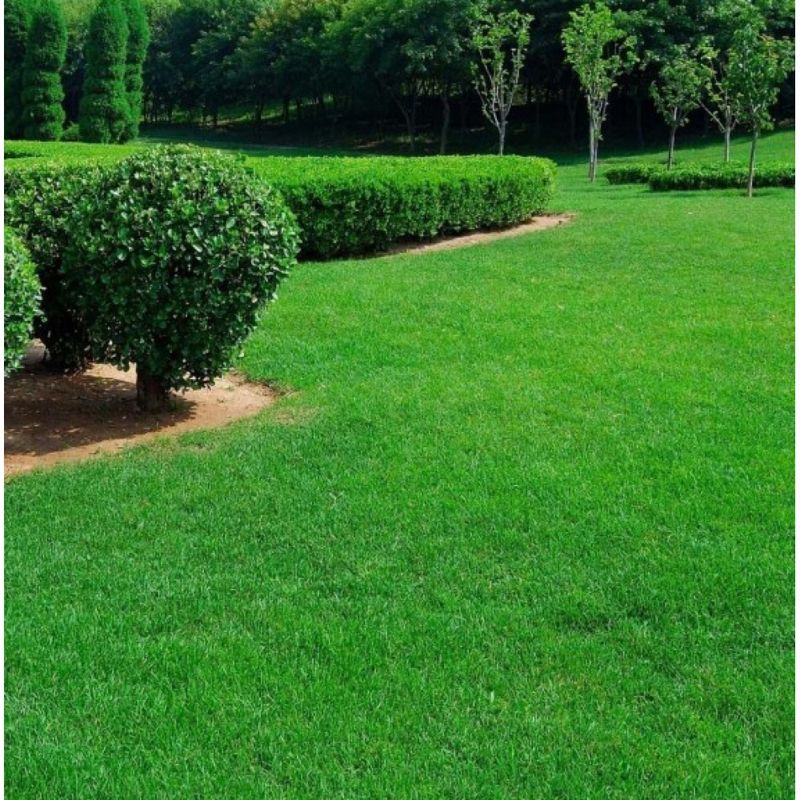 Lawn Mowing