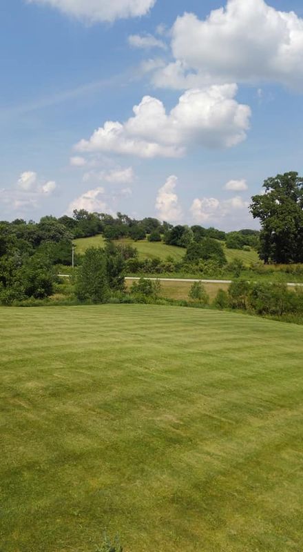 Lawn Care