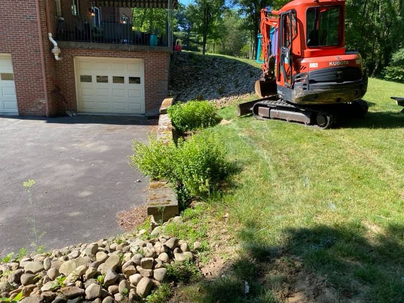 Shrub Trimming